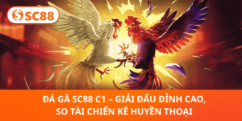 Đá Gà SC88 C1 – Đấu Trường Huyền Thoại, Nơi Những Chiến Kê Lên Ngôi